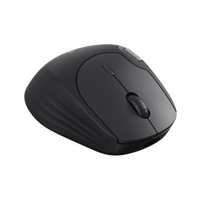 Компьютерная мышь Rapoo MT560 Black Компьютерная мышь Rapoo MT560 Black