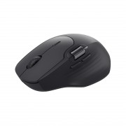 Компьютерная мышь Rapoo MT560 Black