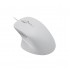 Компьютерная мышь Rapoo N500 Белый Компьютерная мышь Rapoo N500 Белый