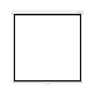 Экран Deluxe DLS-M244W (96 Экран Deluxe DLS-M244W (96