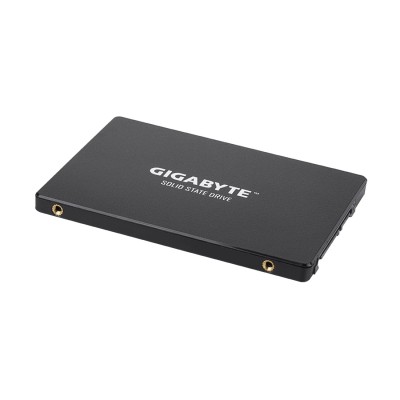 Твердотельный накопитель внутренний Gigabyte GP-GSTFS31100TNTD Твердотельный накопитель внутренний Gigabyte GP-GSTFS31100TNTD