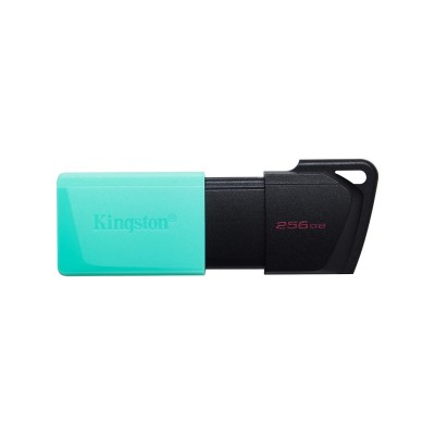 USB-накопитель Kingston DTXM/256GB 256GB Бирюзовый USB-накопитель Kingston DTXM/256GB 256GB Бирюзовый